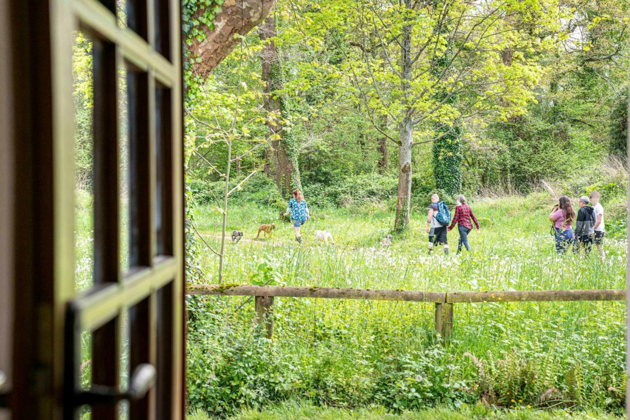 Maison De Charme A Proximite De Pau - 3 Chambres - 6 P - Jardin Sendets  Exteriér fotografie
